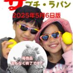 今週の予定のイメージ20250506