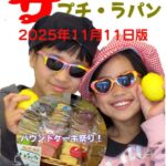 今週の予定のイメージ20251111