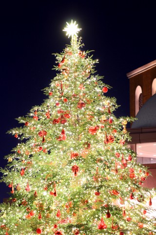 クリスマス・ツリー